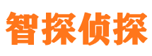 合江市私家侦探